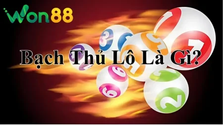 Tìm hiểu thuật ngữ “Bạch thủ lô là gì?
