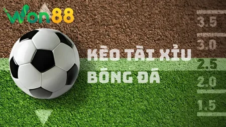 Kèo Chấp 1 Trái Là Gì? Hướng Dẫn Cách Đọc Chuẩn Tại Won88